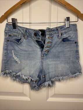 Celebrity Pink Light Blue Distressed Denim Cutoff Shorts